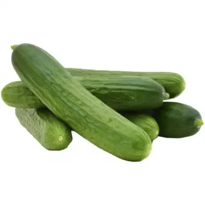 خیار گلخانه ای یک کیلوگرمی