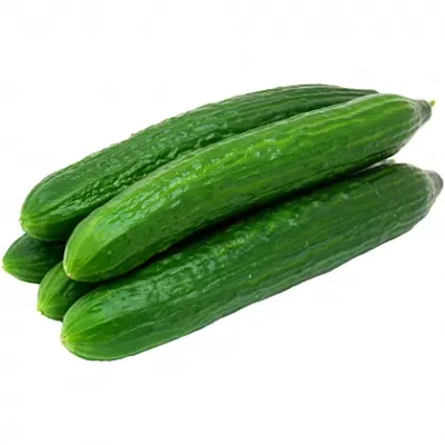 خیار رسمی یک کیلوگرمی